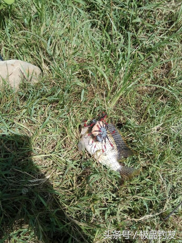 自制硬线翻板钩用多大的钢丝线,自制翻板钩固定器