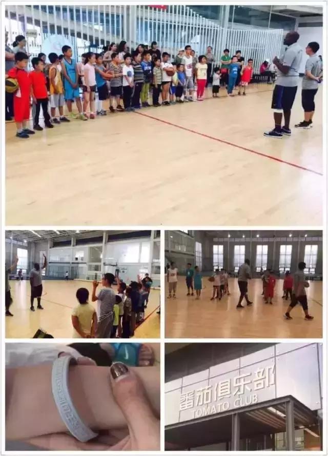 番茄联合国庄园,番茄联合国