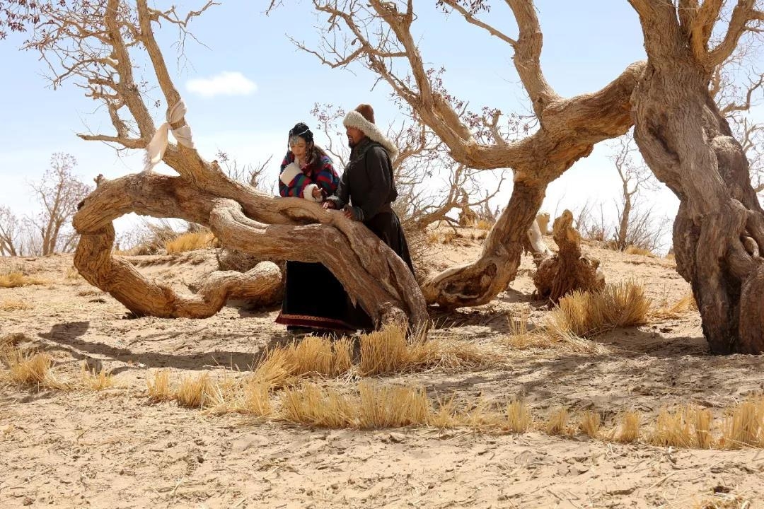 大美青海旅游自驾拼车,大美青海旅行天堂