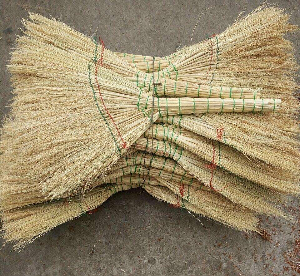 成都流转农房商机,土地流转致富方法