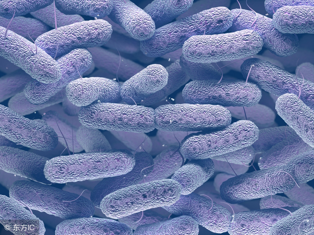 戴隐形眼镜眼睛注意事项,框架眼镜换隐形眼镜的注意事项