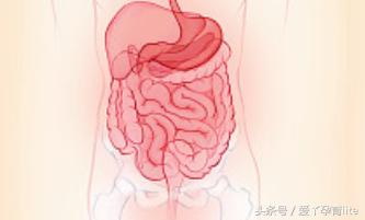 怀孕十月宝宝发育图表,十月怀胎宝宝生长过程视频