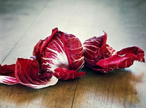 红菊苣种植时间和方法,红菊苣怎样种植