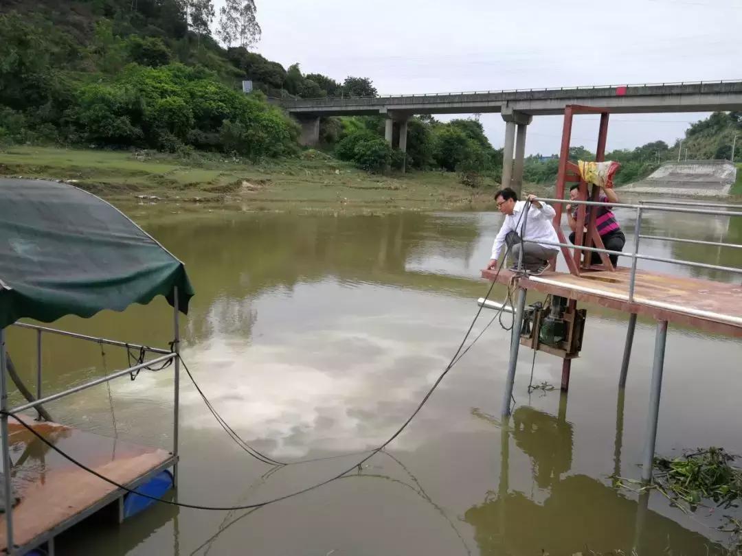 中央环保督察组第五组反馈四川,广东省环境保护督察第四批督察组