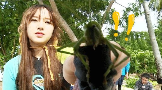 这个人人爱的假脸女人，亚洲女星谁演比较靠谱？