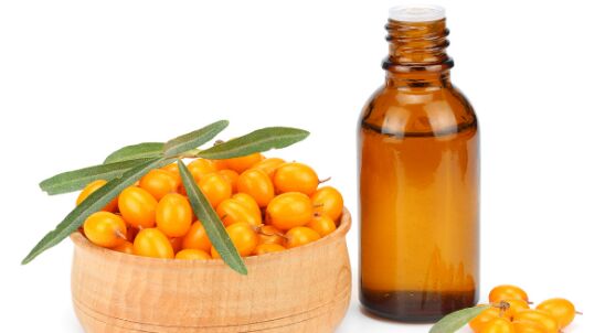 沙棘神奇的植物,沙棘到底是什么植物