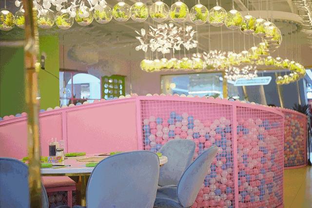 春熙路求婚后来怎么样了,春熙路大熊猫求婚完整版