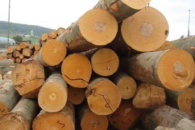 黑胡桃和樱桃木有什么区别,什么是黑胡桃原木纹理