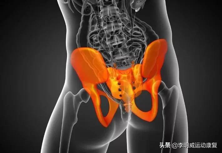 骨盆不正的危害动画视频,骨盆不正危害图片