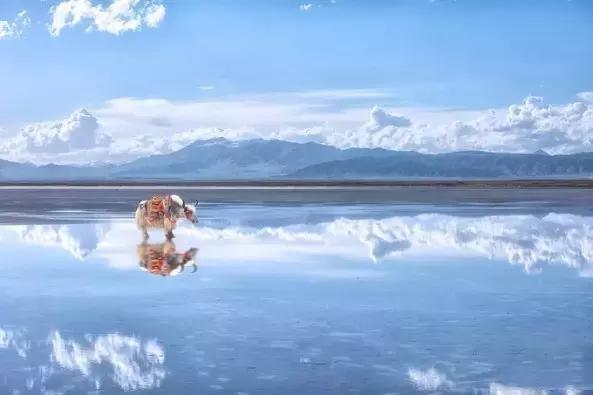 2023青海环线游最佳路线图,青海环线自驾游7天路线