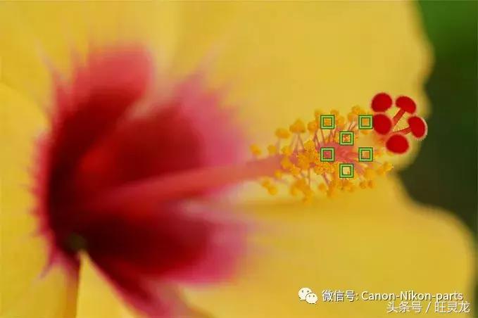 索尼微单a6000调色彩,索尼微单a6000l教程