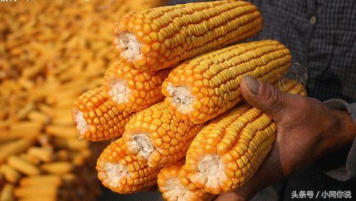 人勤地不懒是大实话,为啥人越懒就越懒