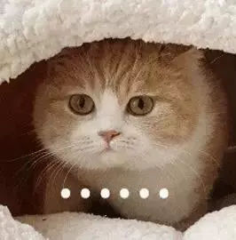 四种方言你能听懂几种,十种最难完整的方言东北话