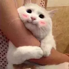 四种方言你能听懂几种,十种最难完整的方言东北话