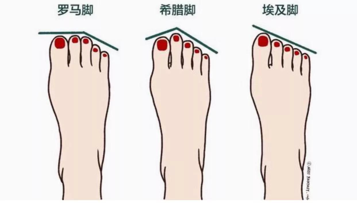 看准脚型再买鞋，才能买的舒心呐！