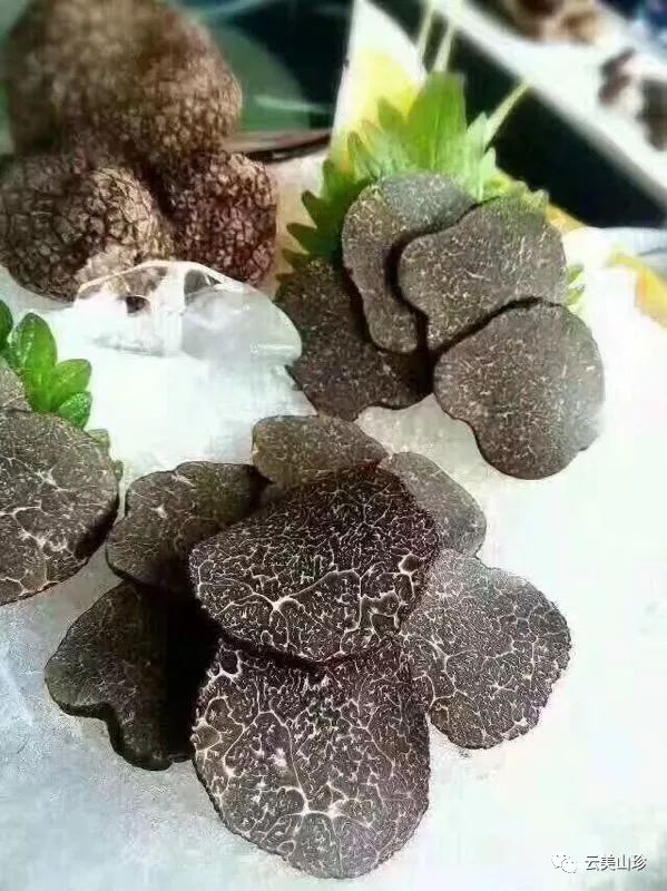 四季山珍专营云南野生菌,云南山珍野菌一手货源