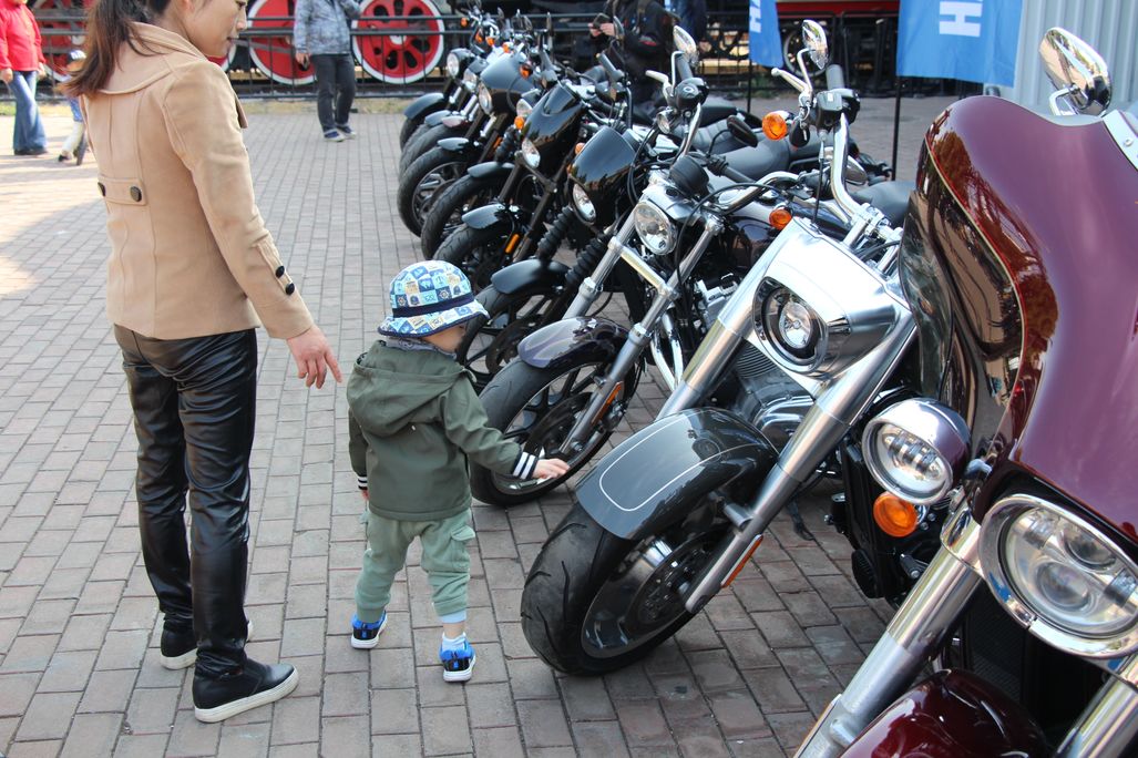 哈雷不是一般人能驾驭的,哈雷有性能吗