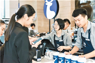 网红小蓝杯咖啡,小蓝杯网红