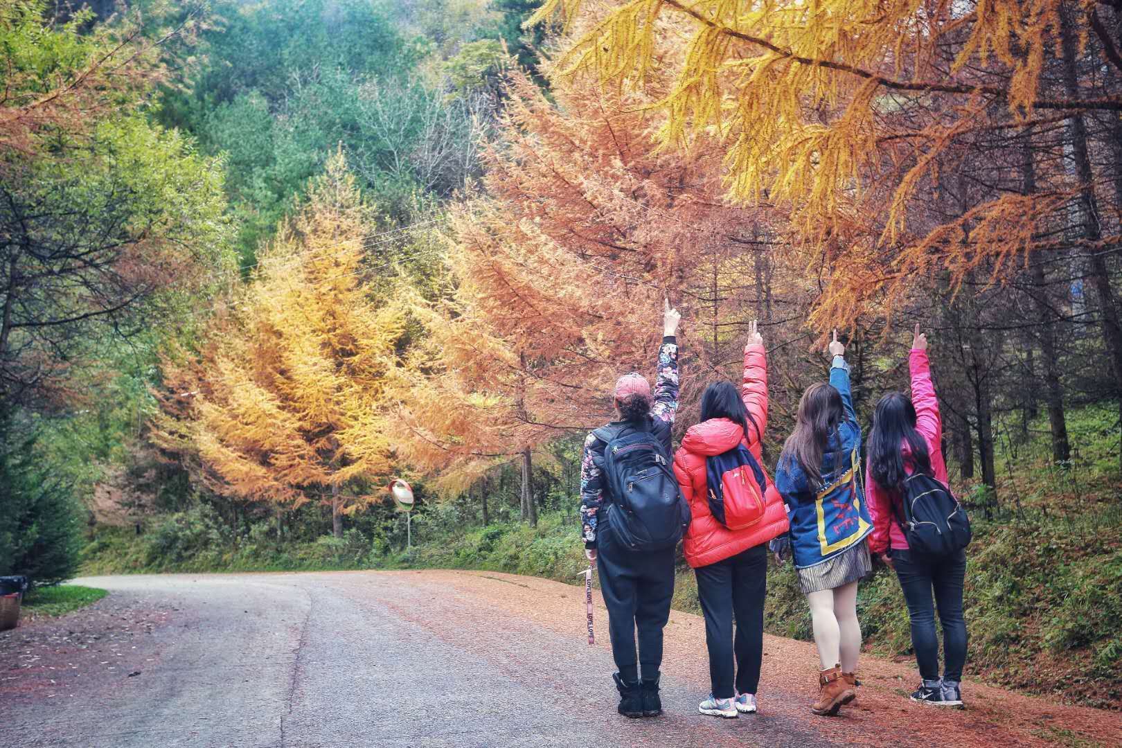 秋景西安好去处,雨后遇晴天留坝寻秋色