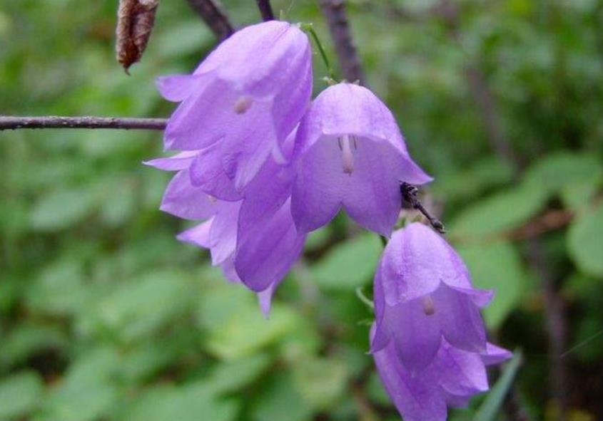 善待没脾气的人,做人要善待每一个人