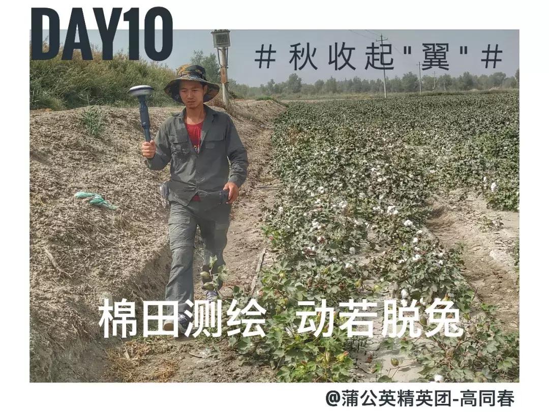 备好酒，听我们秋收起“翼”的故事！