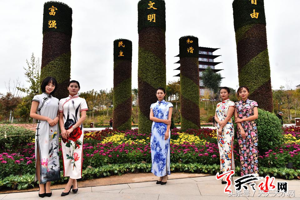 天水麦积菊展,金秋菊展日记