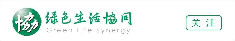 8款儿童智能手表对比评测掌航和咪咪兔防水性能不达标