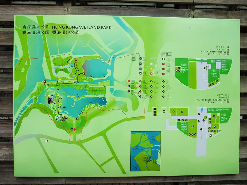 穷驴旅游,港囧游香港