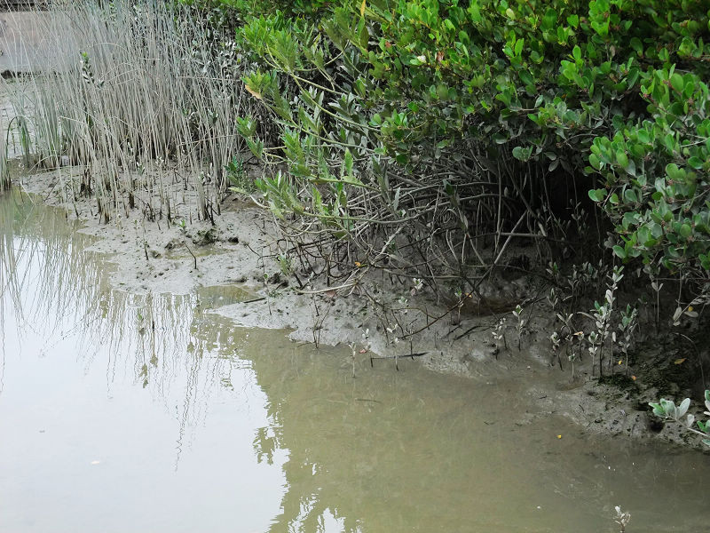 穷驴旅游,港囧游香港