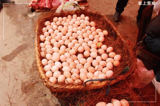 走进云南宣威,走进宣威市