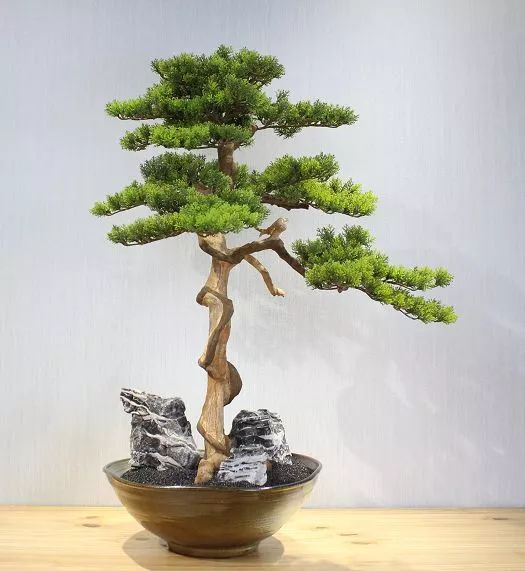 仿真花贵还是真花贵,仿真花贵还是鲜花贵