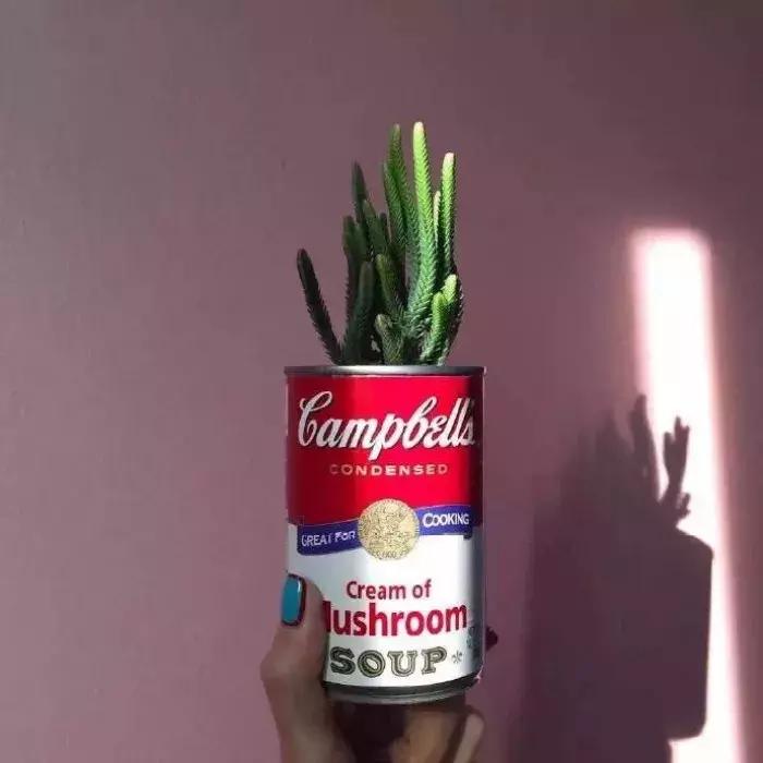 善解人意换的往往是得寸进尺,善解人意换来的总是得寸进尺吧