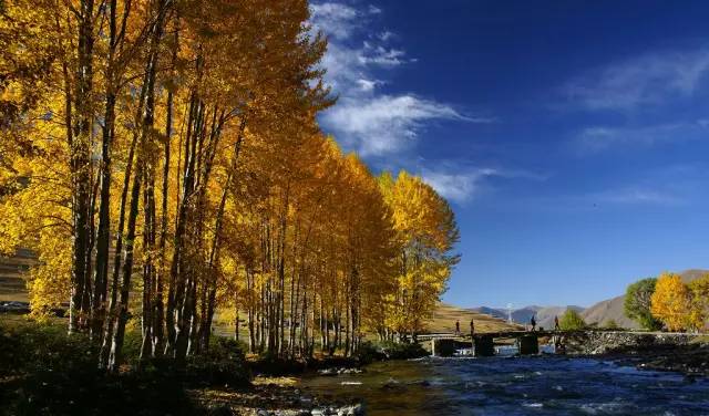 稻城亚丁旅游攻略 (西藏稻城亚丁美景)