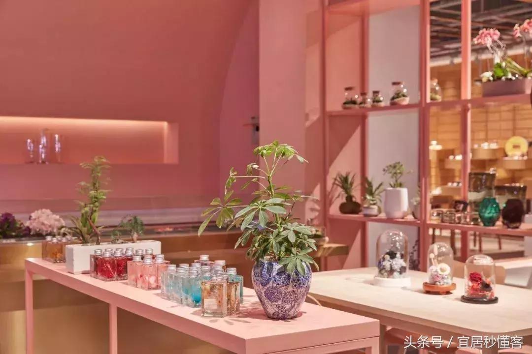 宜家购物指南书,宜家购物指南杂志2023