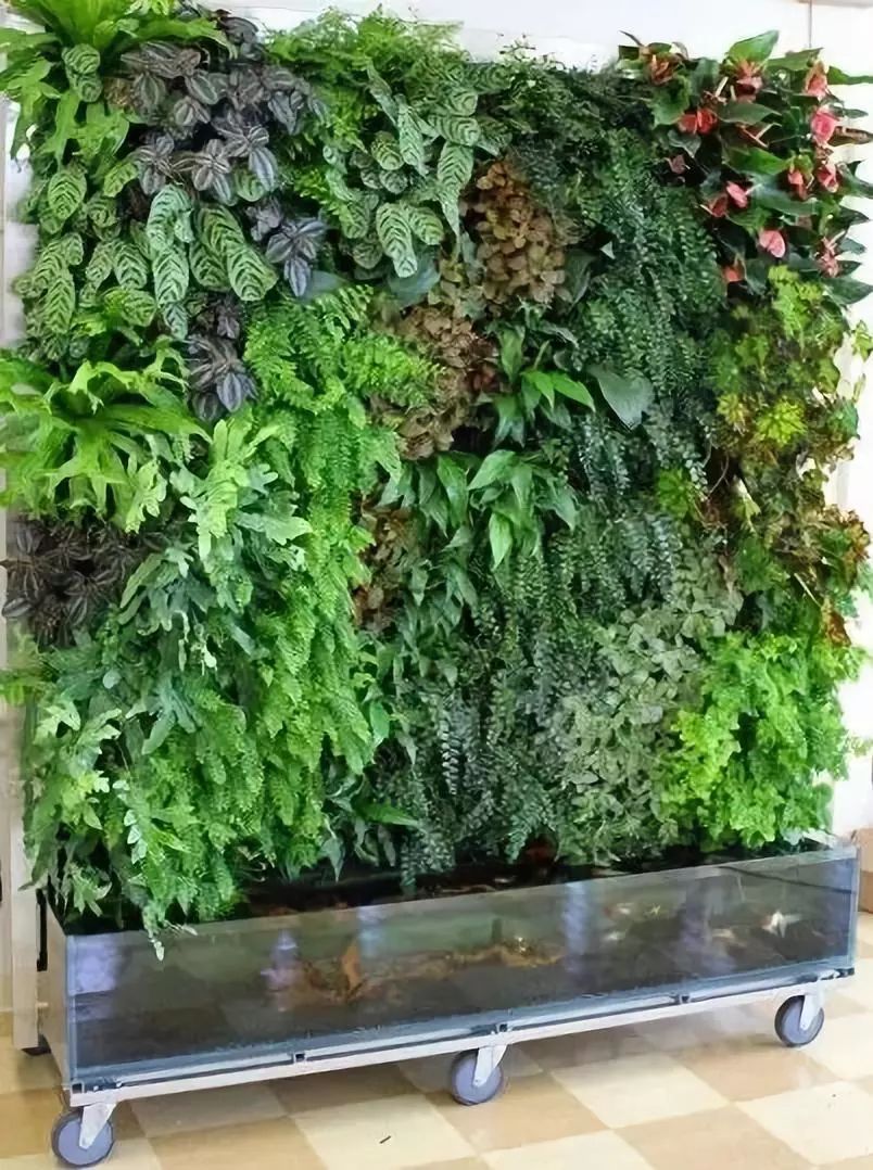 室外墙体屏风图片大全,绿化屏风