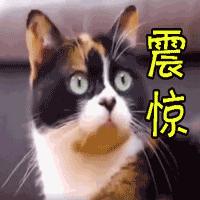 厦门某香港营销总与老板对赌，输了就从115米顶楼“崩极”下去