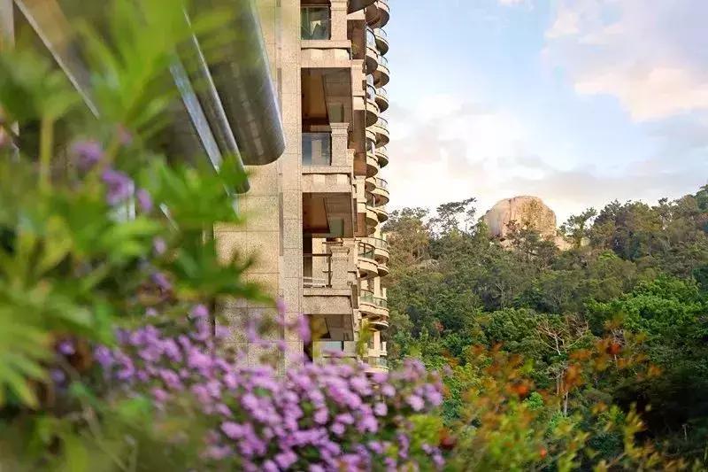 厦门某香港营销总与老板对赌，输了就从115米顶楼“崩极”下去