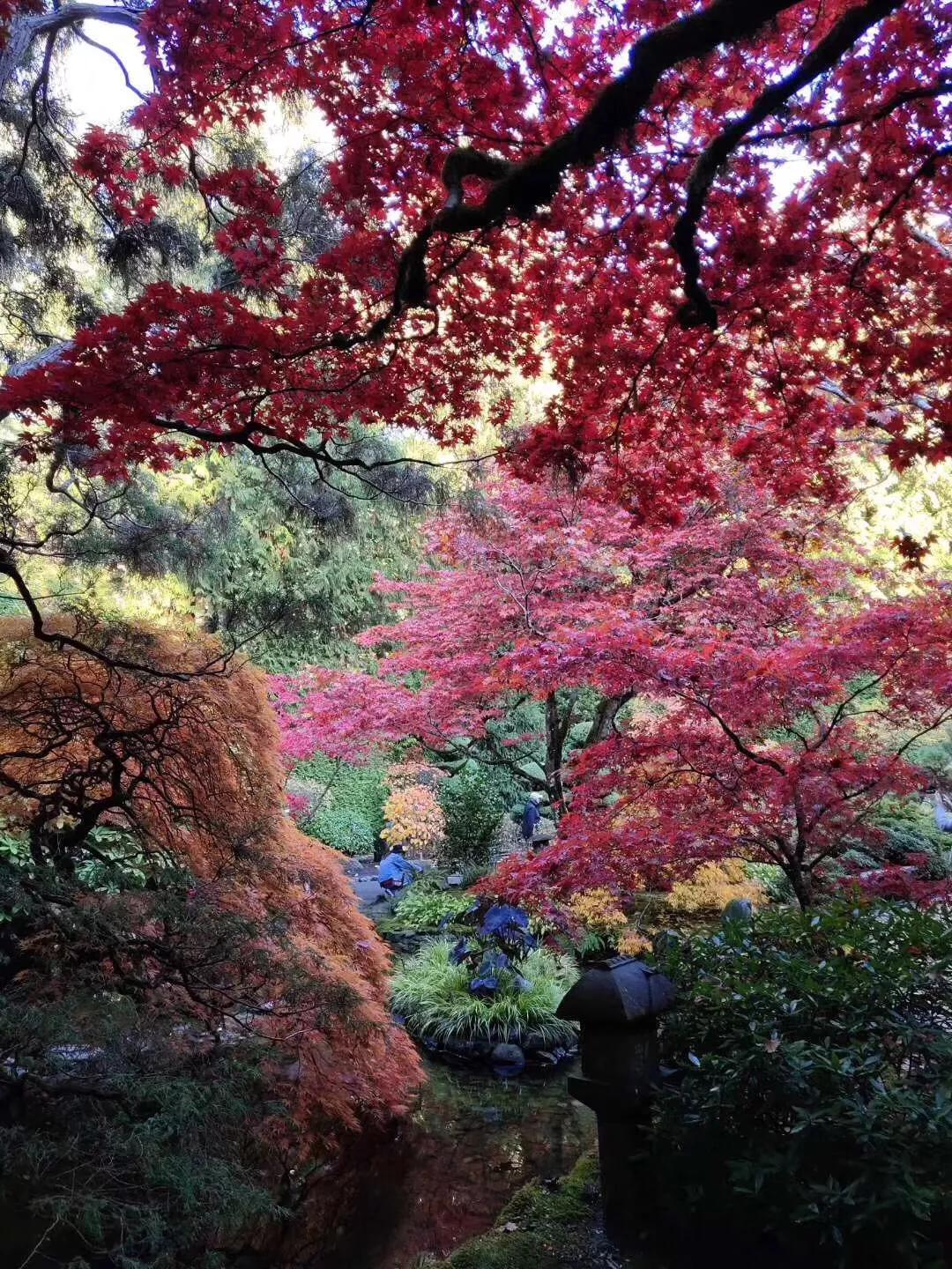 饮酒和吸烟对哪些检验结果有影响？