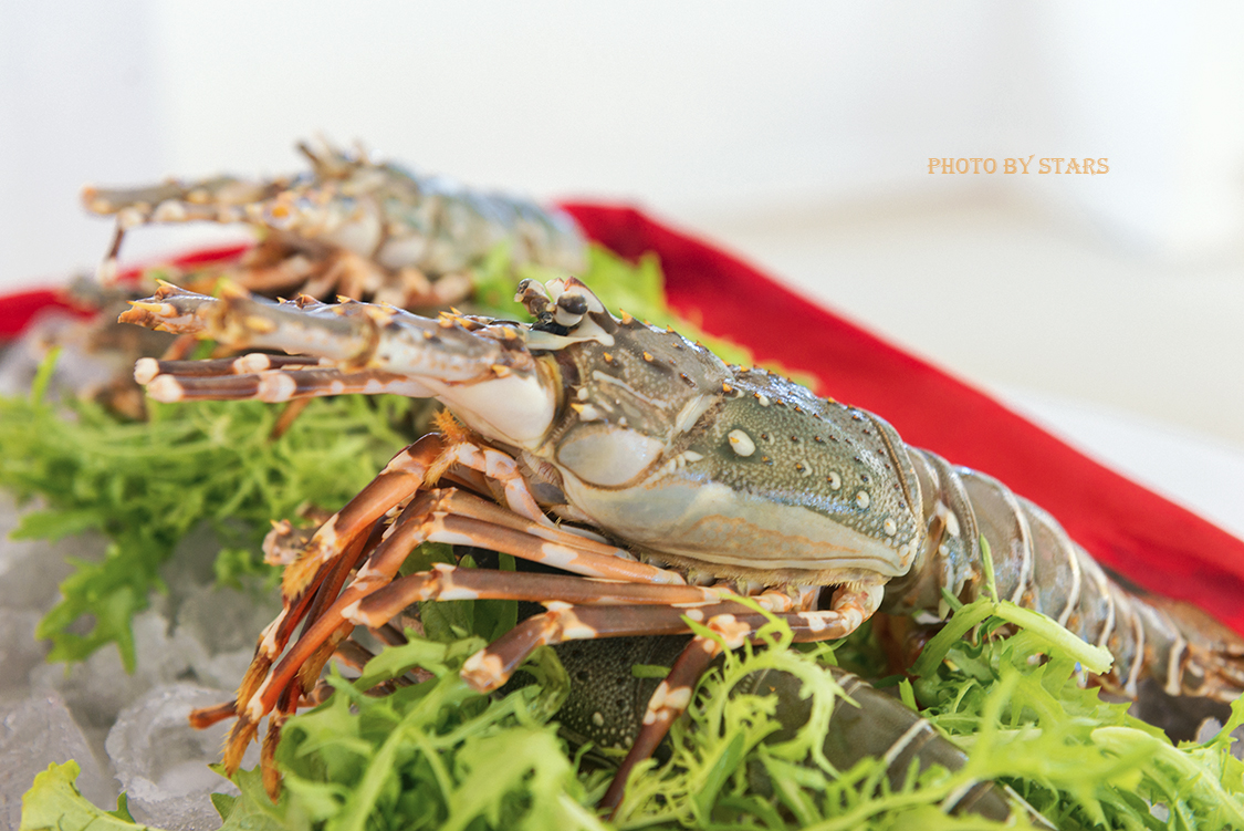 适合蜜月沉浸式度假的地方,世界十大蜜月度假岛