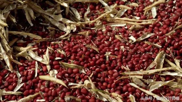 花费350亿拍的电视剧,花费几亿的电影