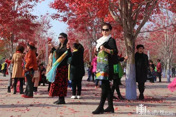 哈尔滨高校打卡,哈尔滨的风向标著名打卡地