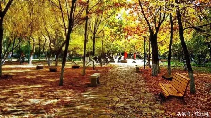 哈尔滨高校打卡,哈尔滨的风向标著名打卡地