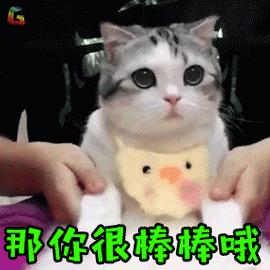 手机进水喇叭有杂音滋滋怎么解决,手机进水了如何将听筒中的水震掉