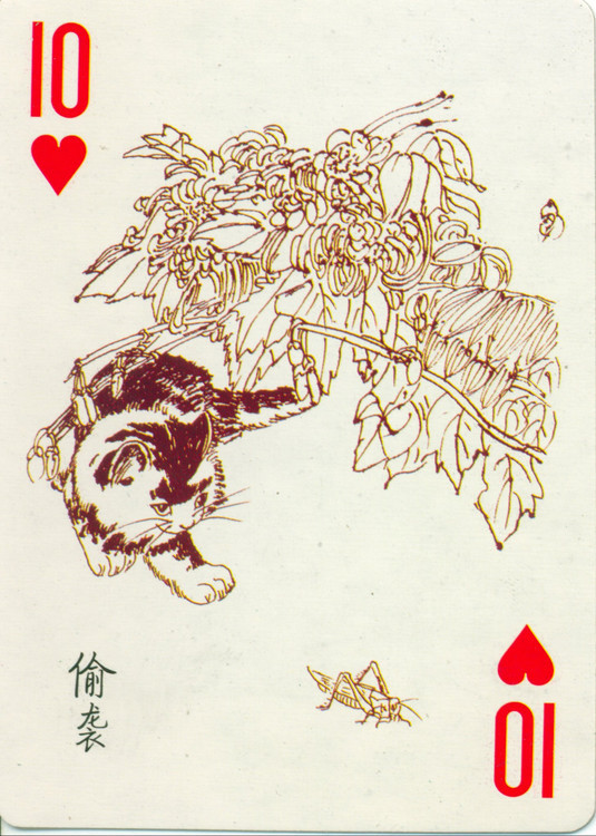 猫谱扑克欣赏,明星扑克牌欣赏