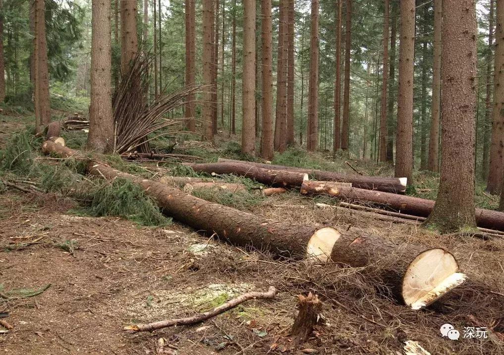 缅甸的贫穷图片,缅甸贫穷人真实生活