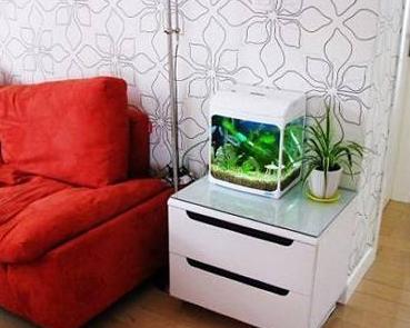 进门有鱼缸的风水好不好,装修进门见鱼缸好不好