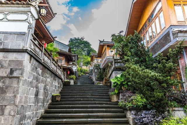 鑽疯姳鍙ら晣鑵惧啿,鑵惧啿鑽疯姳鍙ら晣