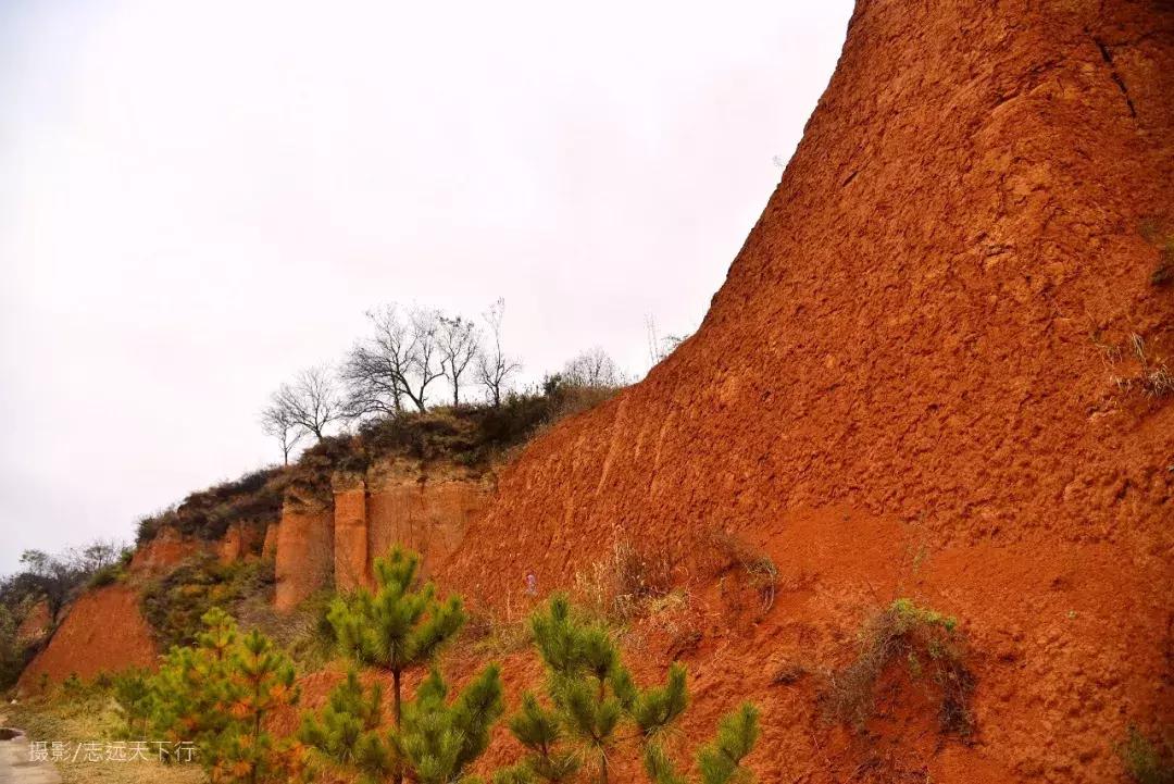 红土林景点,合水红土林