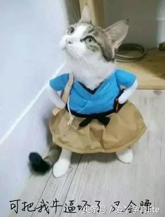 孕妇无痛分娩的故事,无痛分娩快乐孕育