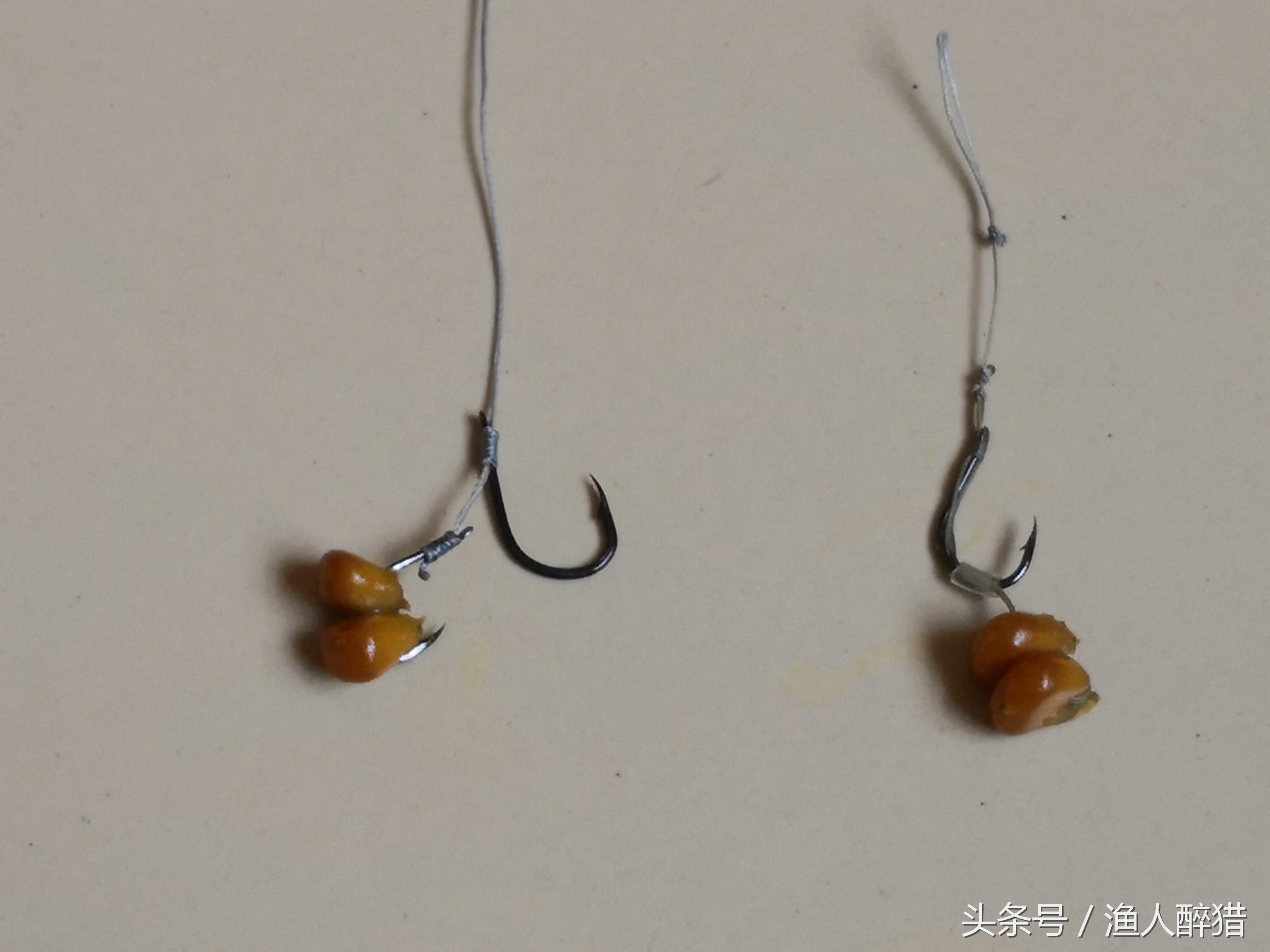 加粗尾浮漂挂玉米粒钓鲤鱼怎么调,夜间挂玉米粒钓鲤鱼调漂最佳方法